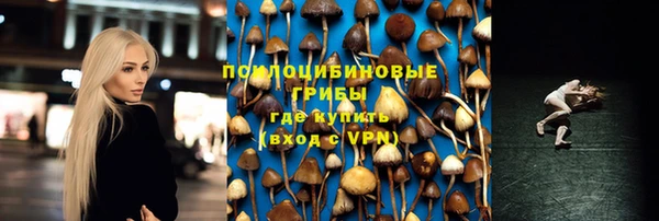 PSILOCYBIN Алексеевка