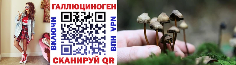 Галлюциногенные грибы мухоморы  Котлас 